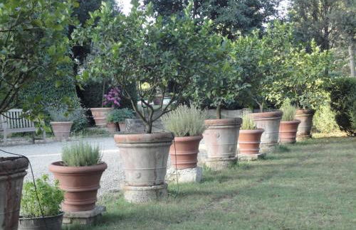 Castello di San Fabiano - Foto 52