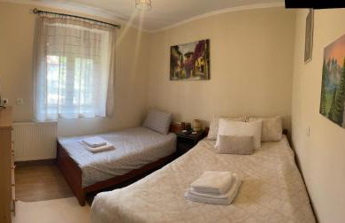 Christo's Place Katarraktis Artas - Foto 15