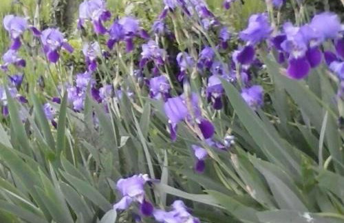 Villa Bella - Two Bedroom House - Foto 42