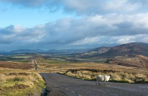 Lann Dearg Studios - Photo 26