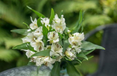 Ty Twt Tiny House - Photo 14