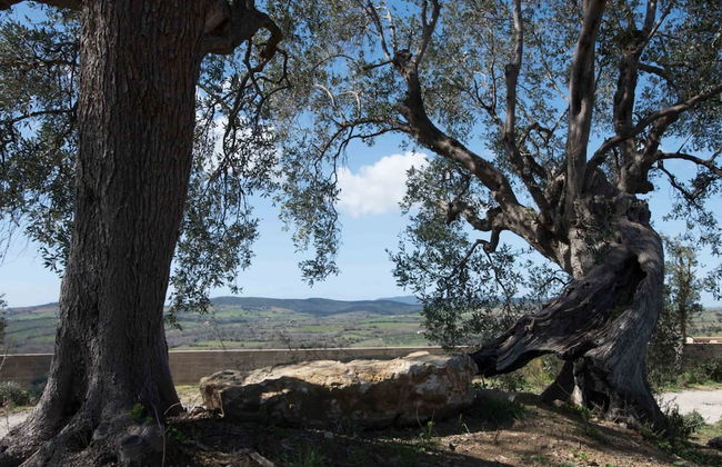 Maniero in Maremma Luxury Villa in Tuscany - Foto 59