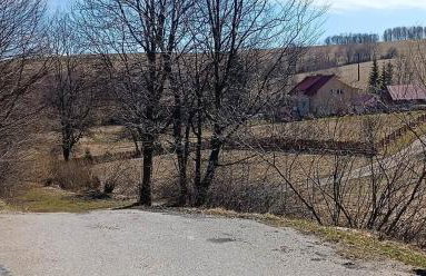 DOLINA ROZTOKI-mieszkanie,pokoje lub domek z lokalem na poddaszu - Foto 38