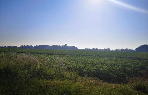 Heath Cottage Lower Southrepps north Norfolk - Foto 14