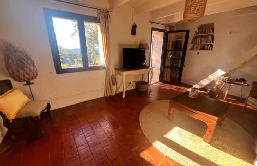 Aix-en-Provence, Bastidon provençal plein cœur de la forêt avec vue unique - Foto 34