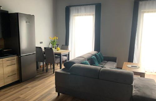 Bulwar Apartament Stare Miasto - Foto 10