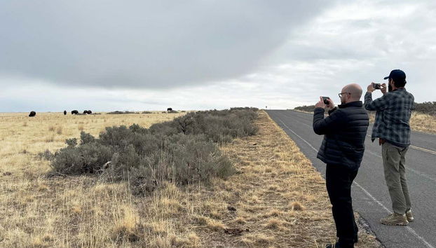 Antelope Island Tour - Photo 3
