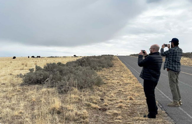 Antelope Island Tour - Photo 3