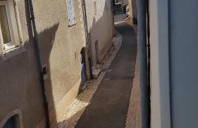 La basse - Foto 3