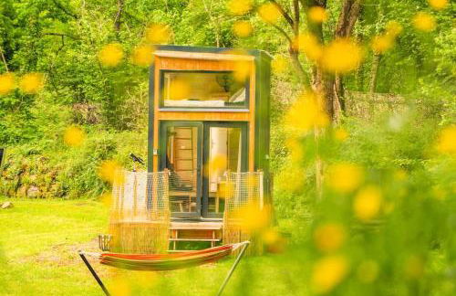 Bois aux Cheirilles - 15min Murol - Puy de Dome - Foto 13