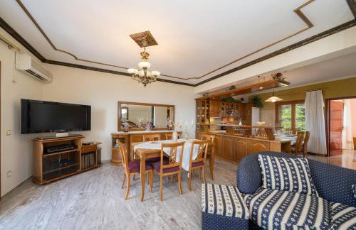 Toumazatos House Kefalonia with Sea & Sunset View - Foto 8