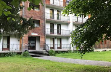 Appartement T3 Luchon - Foto 11