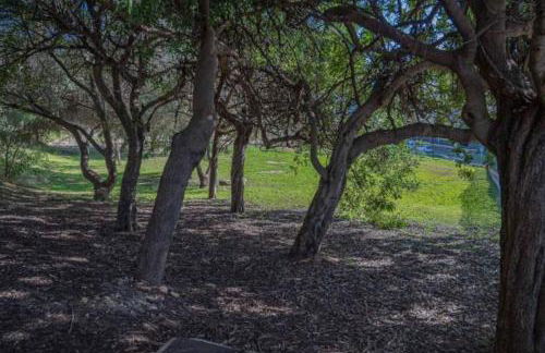 Lovely independent mini apartment central Cagliari - Foto 27