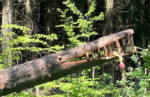 Haus Lila Welle - Foto 16