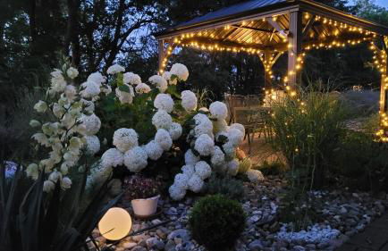 Apartmenthaus Storchennest - Foto 19