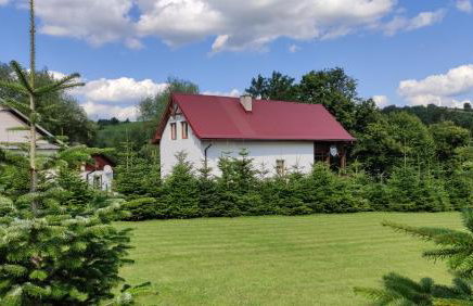 Wielgosówka - Foto 19