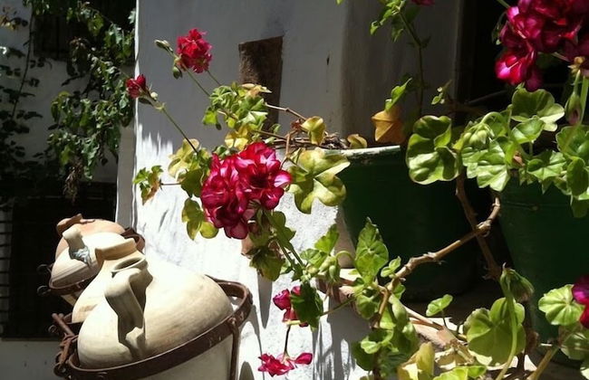 La Casa de Corruco - Foto 1