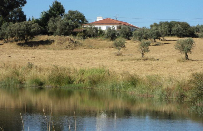 Quinta Retreat With Pool and Olive Grove - Foto 47