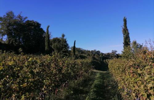 Relais Ca' Morenica - Foto 28