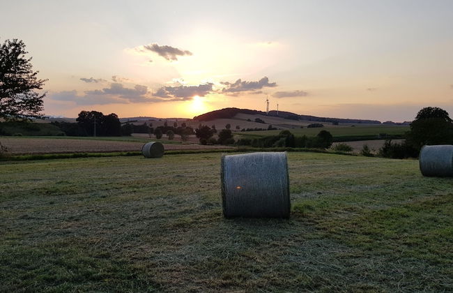 Ferienhof Lohmann - Foto 14