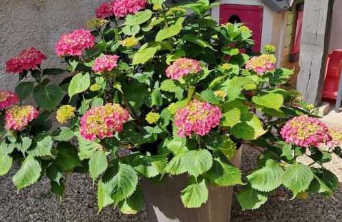 LE REFUGE DU DRAPEAU Maison avec 4 chambres proche du centre historique - Foto 20