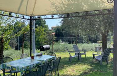 La Zinevrela - Foto 1