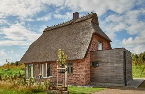 Reetdorf Geltinger Birk Künstlerkate Wasserspecht - Foto 1