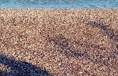 Derveni Sea View Apartments - Foto 31