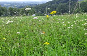 Domek pod Skiełkiem - Photo 70