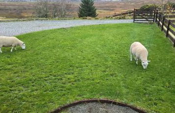 Pabay Self-catering - Foto 32