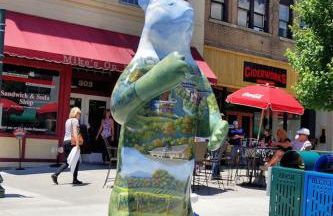 Cozy 1BR Tiny Home with Pool Access and Free Tix - Foto 20