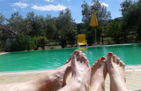 Agriturismo Signorini - Foto 29