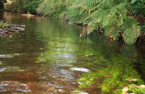 Blashford Manor Holiday Cottage - The Dartmoor Cottage - Foto 11