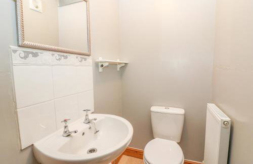 Felin Iago - Foto 10