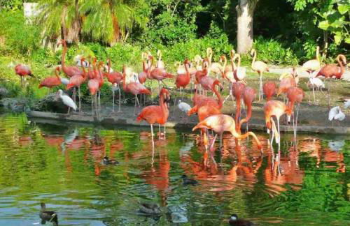 Amazing & cozy Duplex near Zoo Miami ! - Foto 91