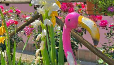 Agriturismo Arcobaleno Assisi - Photo 5, Garden