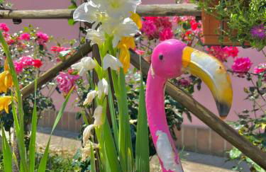 Agriturismo Arcobaleno Assisi - Photo 5