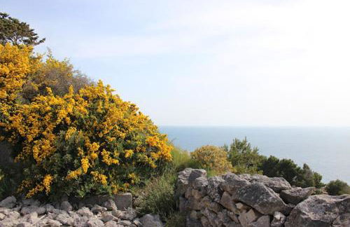 Il Trullo di Funnuvojere - Foto 30
