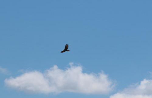 Casa do Vale de Cerdeiras - Foto 33