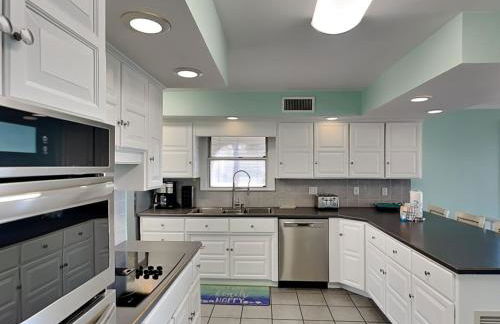 Lion On The Beach - Photo 6