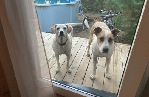 Przystanek Naglady Warmia- całoroczny, duża leśna działka - Foto 40