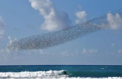 Agrilis Cottage near the beach - Foto 34