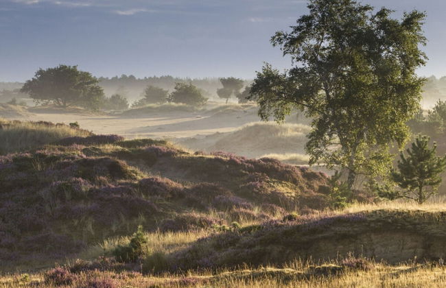 Paviljoen 4 Personen - Photo 9