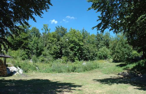 Apartman Juka - Foto 11