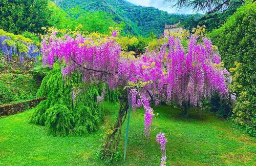 IL PICCOLO PARADISO - Foto 53