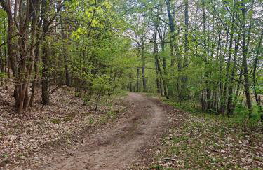 Leśna Ostoja w centrum Puszczy Nadnoteckiej otoczona 3 jeziorami - Foto 34