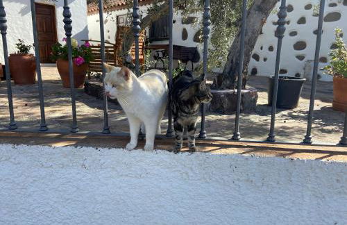 La casa vieja de la Montaña - Foto 35