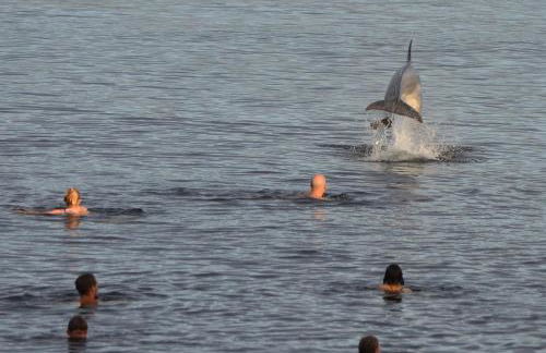 Kajüte Holtenau - Foto 23