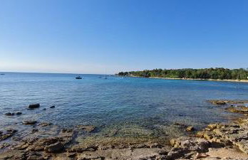 Apartma Morje - Foto 19