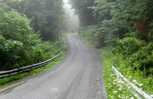 Private Dog-Friendly Home 3 Mi to Elk Mountain - Foto 41